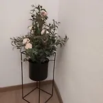 Kleine Altstadt Oase Appartement *