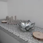 Kleine Altstadt Oase Appartement