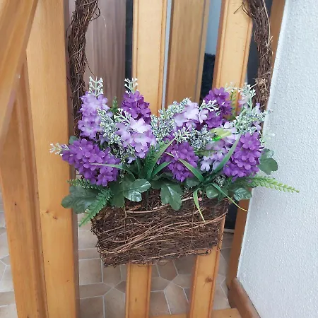 Kleine Altstadt Oase Apartment