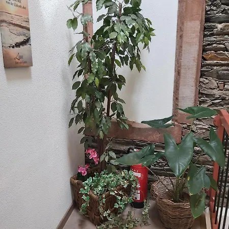 Appartement Kleine Altstadt Oase