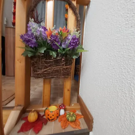 Kleine Altstadt Oase Appartement *