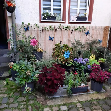 Appartement Kleine Altstadt Oase