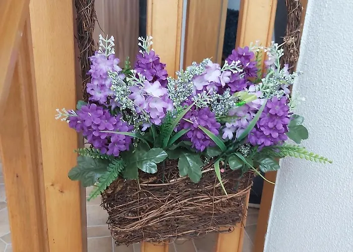 Kleine Altstadt Oase Apartment