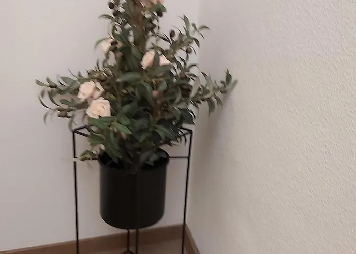 Kleine Altstadt Oase Apartment *