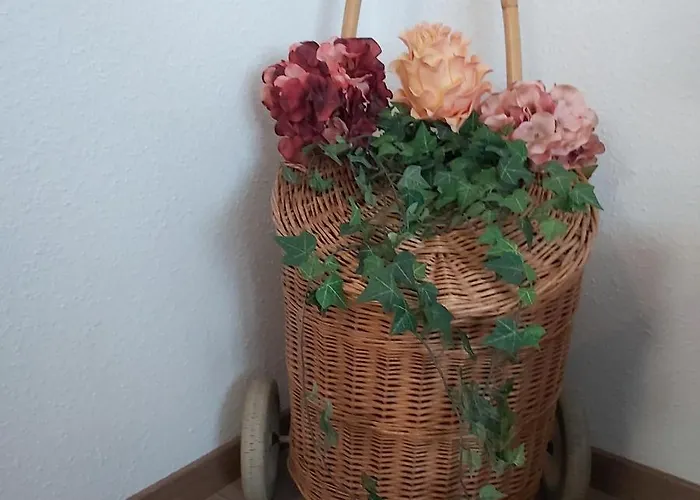 Kleine Altstadt Oase * Bernkastel-Kues