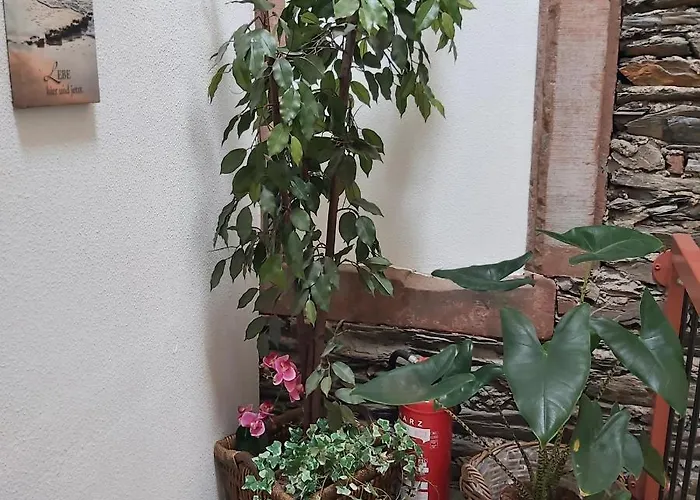 Apartment Kleine Altstadt Oase