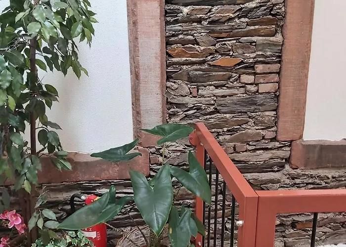 Apartment Kleine Altstadt Oase *