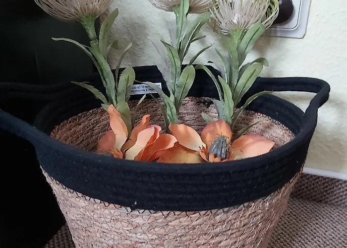 Kleine Altstadt Oase Apartment Bernkastel-Kues