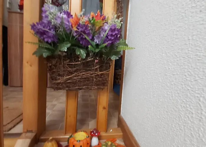 Kleine Altstadt Oase Apartment *