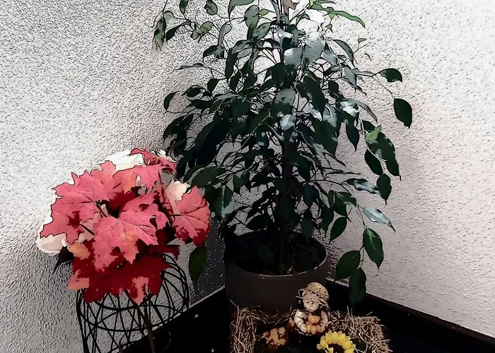 Apartment Kleine Altstadt Oase Bernkastel-Kues